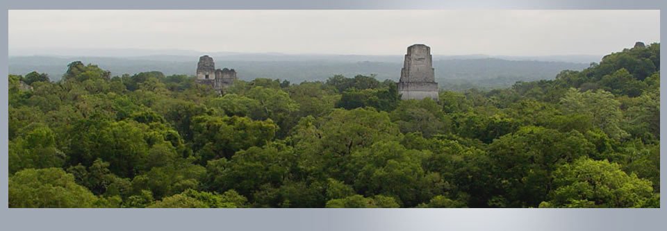 Tikal